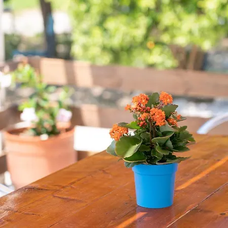 Casa Di Colona - κόκκινο Lixouri